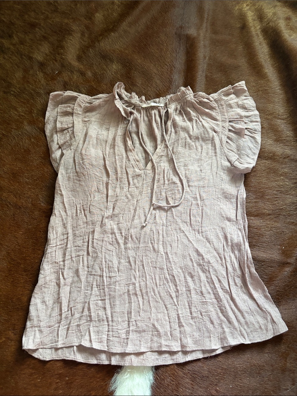 Soft Pink Ruffle Sleeve Tie-Neck Blouse